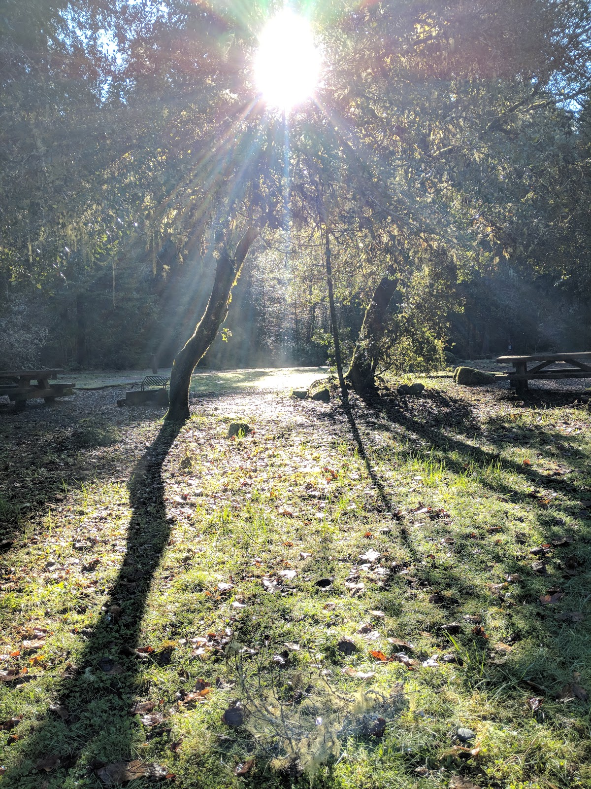 Daphne Grove Campground