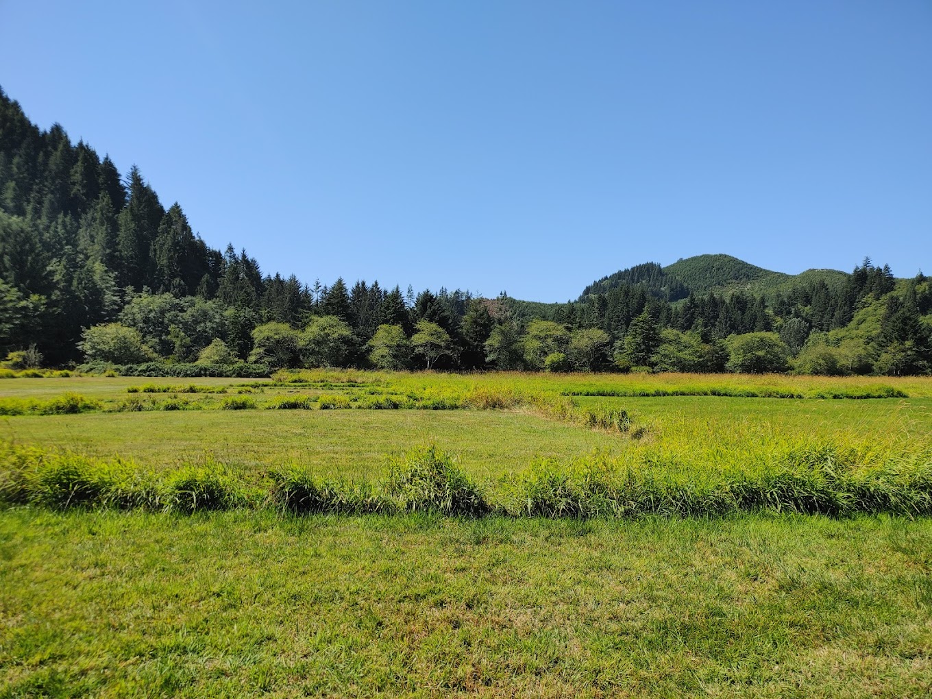 CHINOOK BEND CAMPGROUND