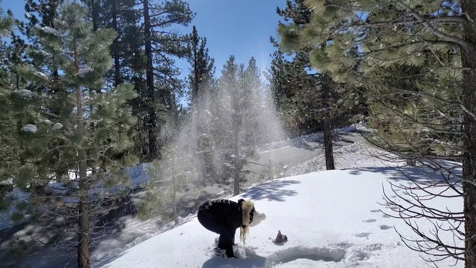 Mount Pinos Campground