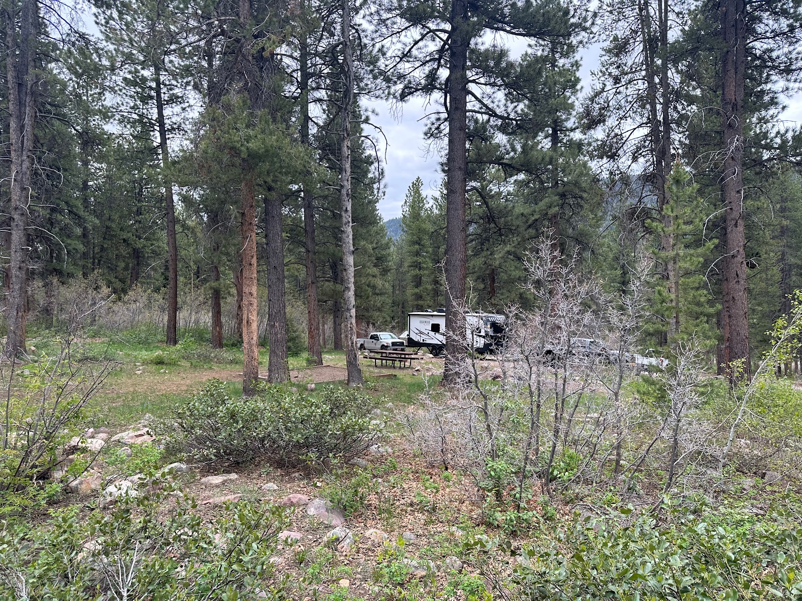 Yellow Pine Campground