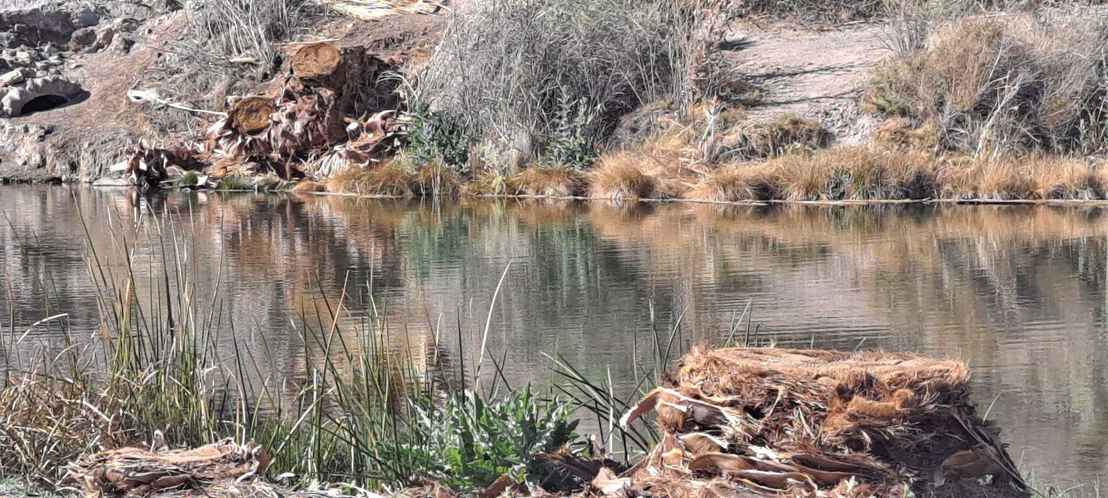 Robbins Nest Mobile Home Village