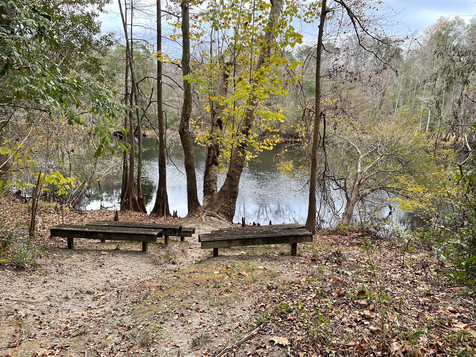 Lumber River State Park