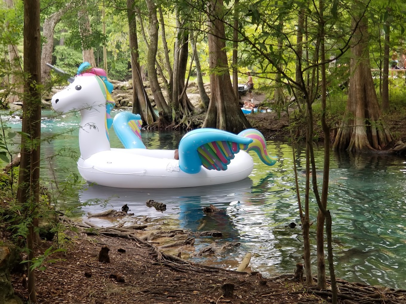 Ginnie Springs Resort