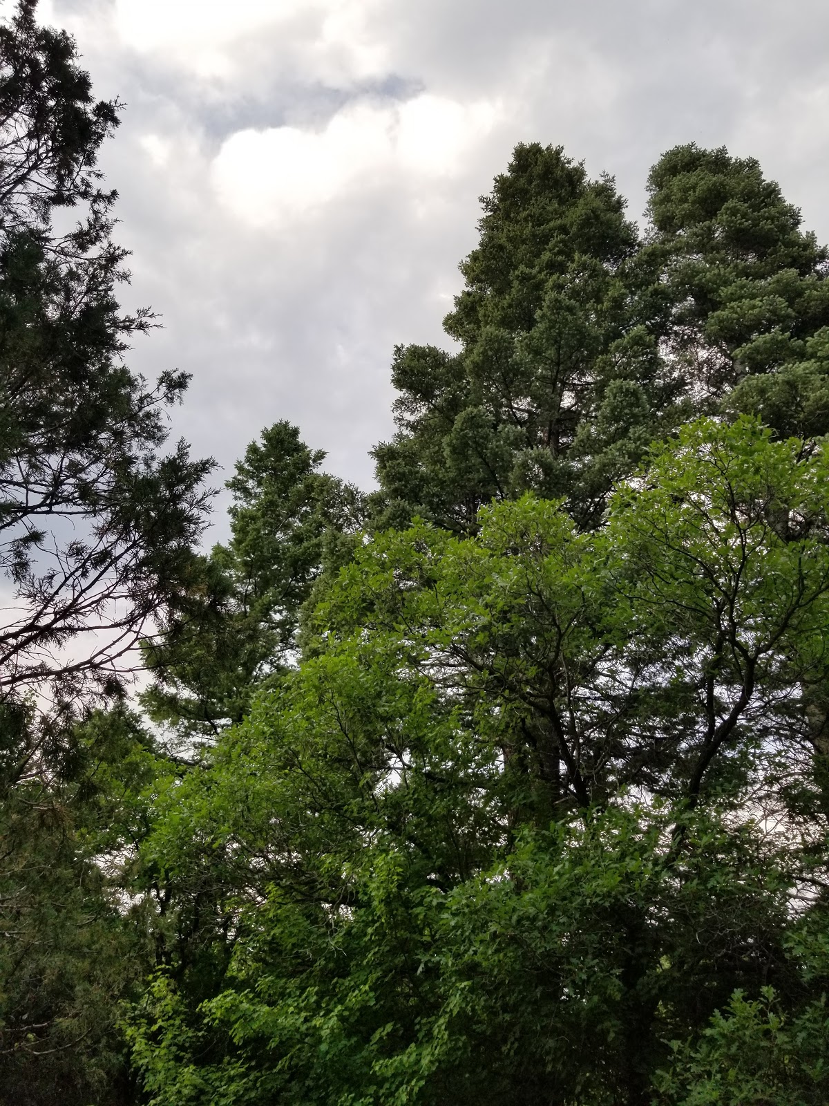 Hayden Creek Campground