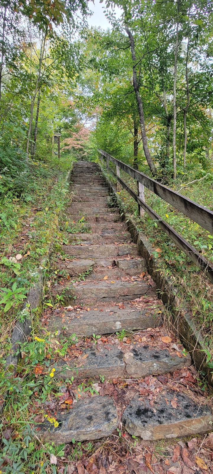 Nancytown Group Campground