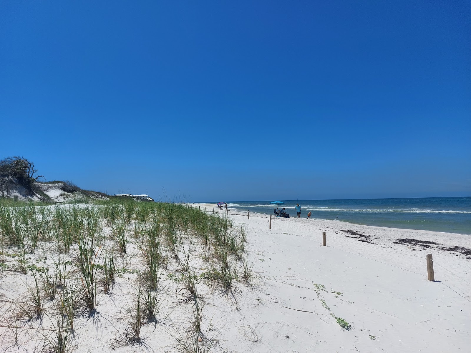 T.H. Stone Memorial ST. Joseph Peninsula State Park
