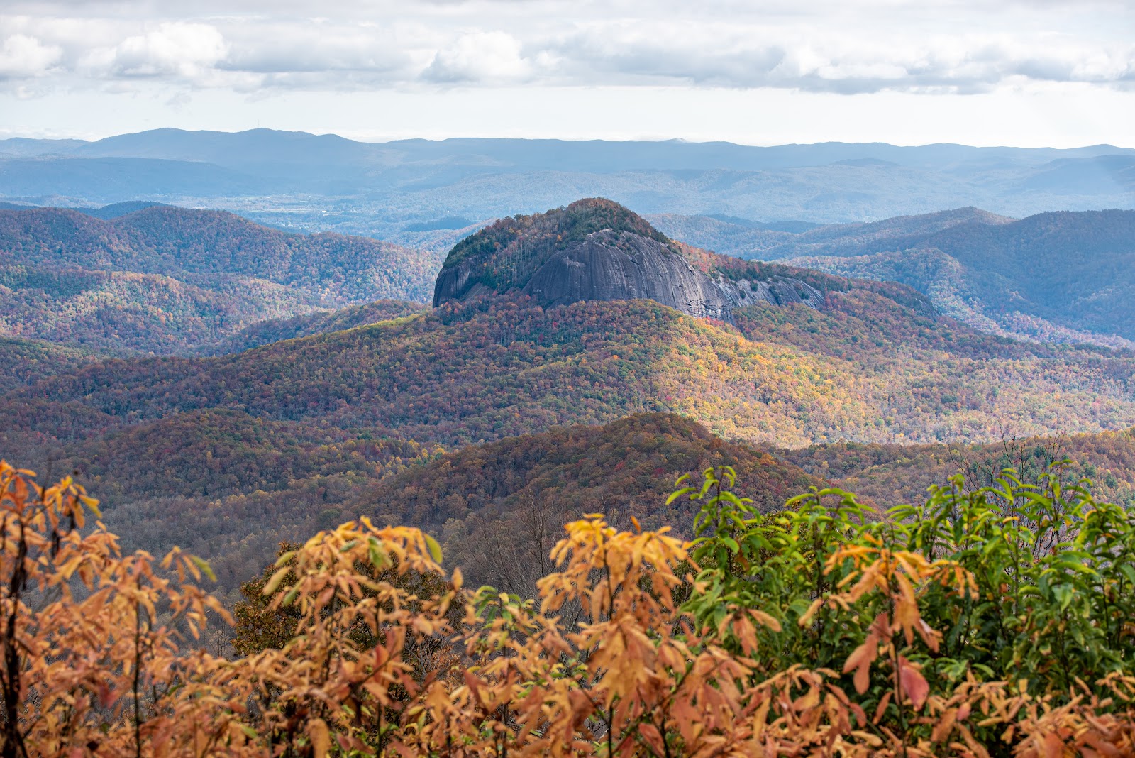 Spacious Skies Bear Den