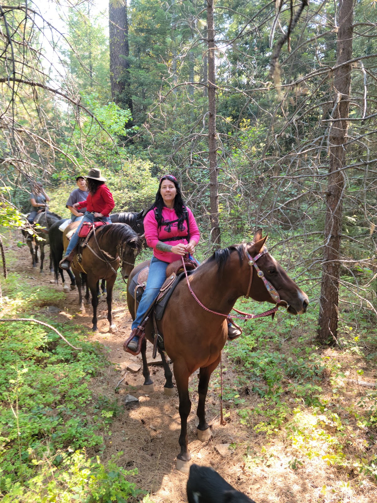 Willow Prairie Campground
