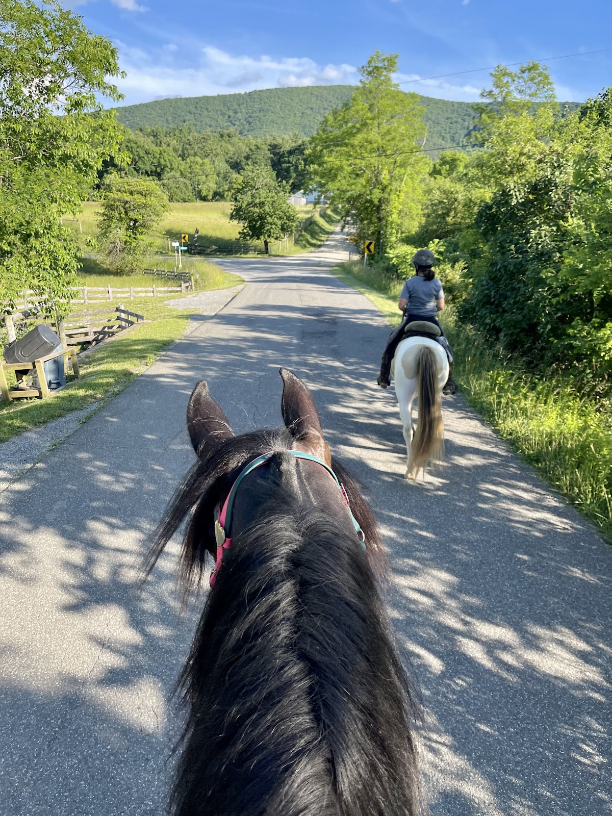 Iron Mountain Horse Camp