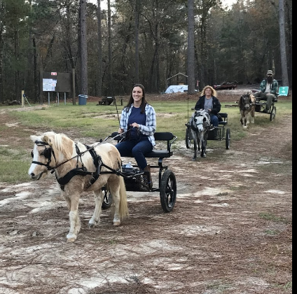 Daily Walk Stables Campground