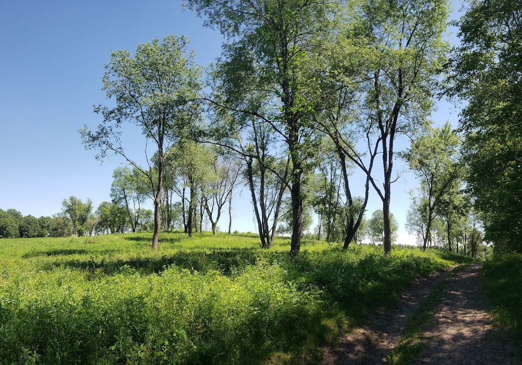 Matsell Bridge Natural Area