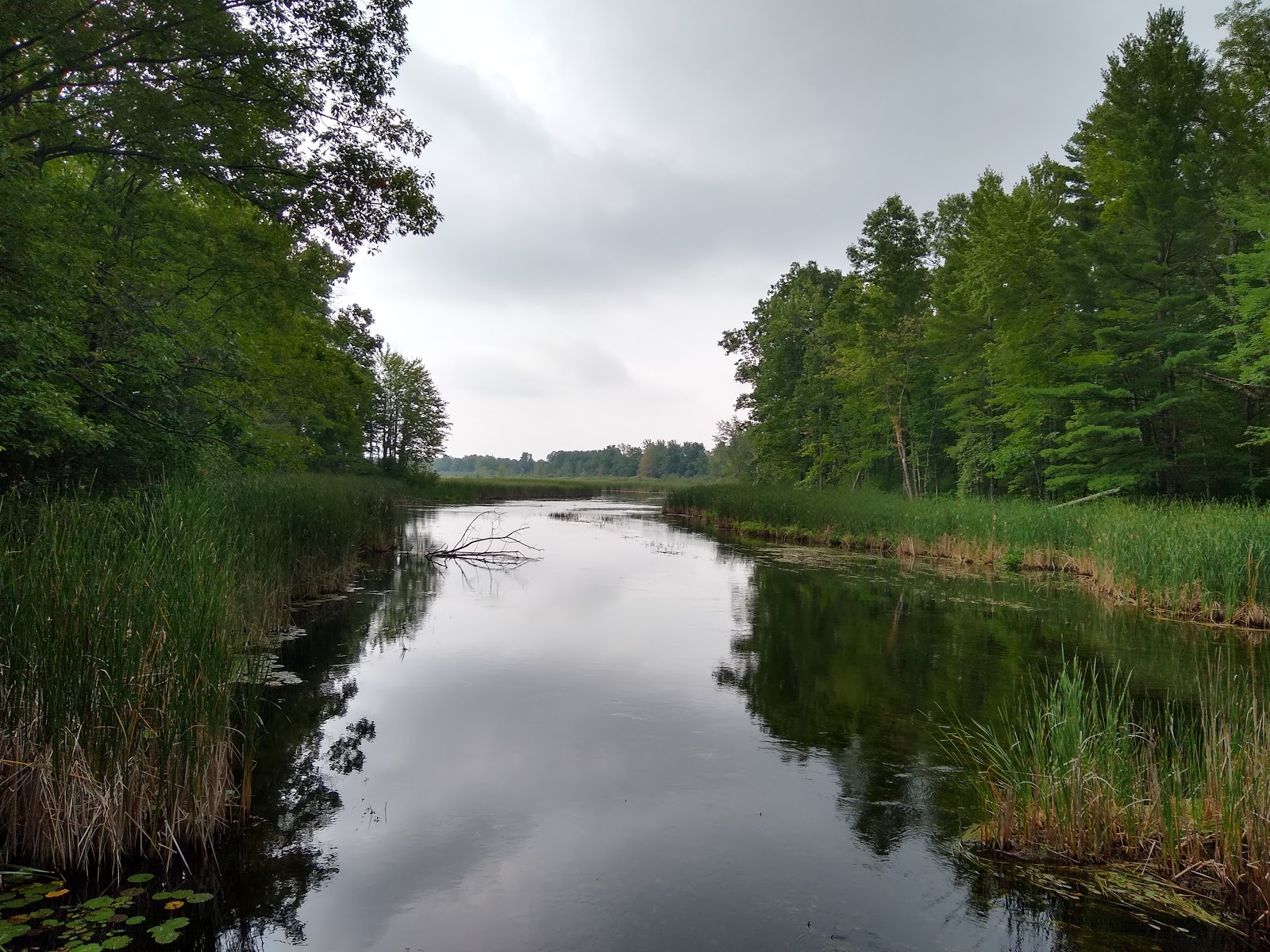 Grass Lake SF Campground