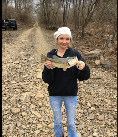 Aux Arc Recreation Area & Campground