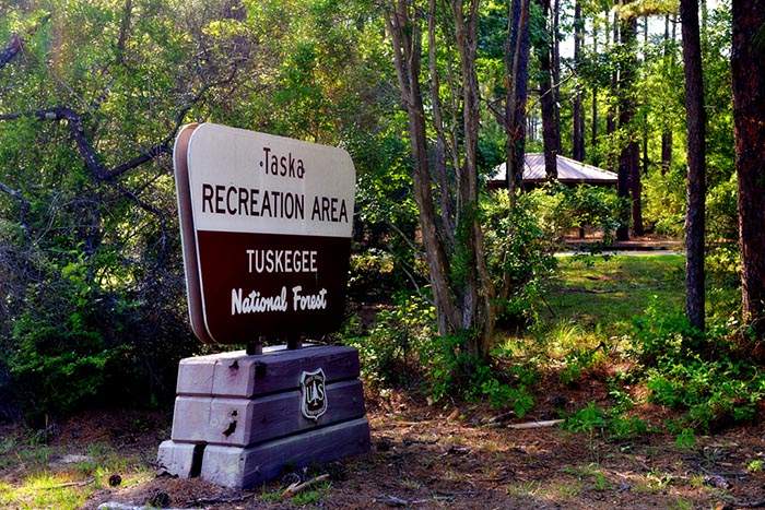 Tuskegee National Forest