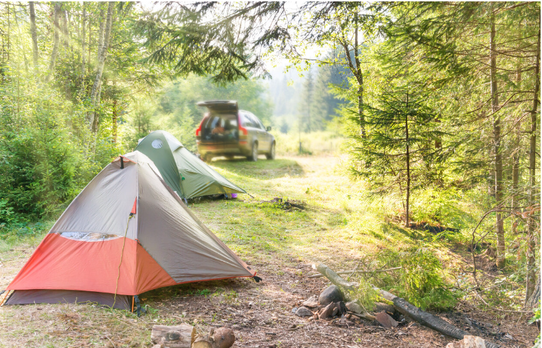 Bonito Campground (USFS)