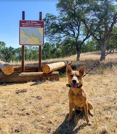 Fleming Meadows Campground