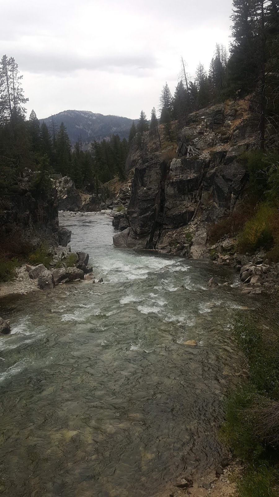 Dagger Falls Campground