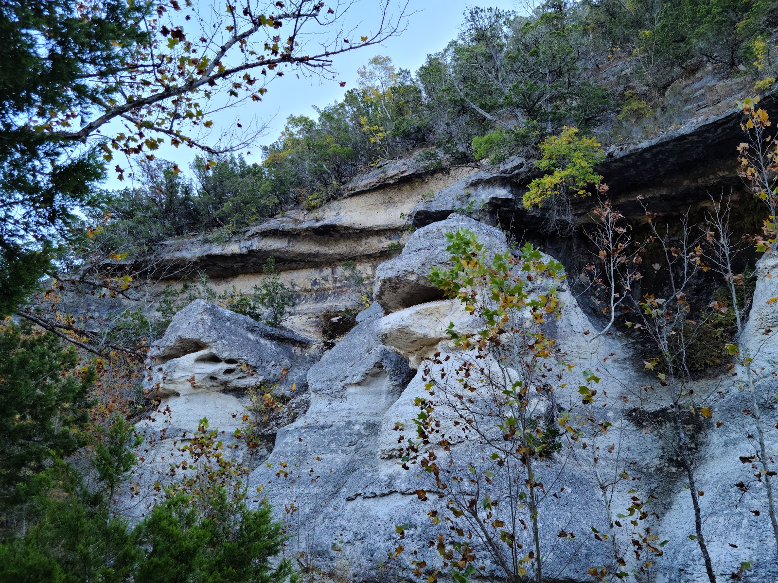 Lost Maples State Natural Area