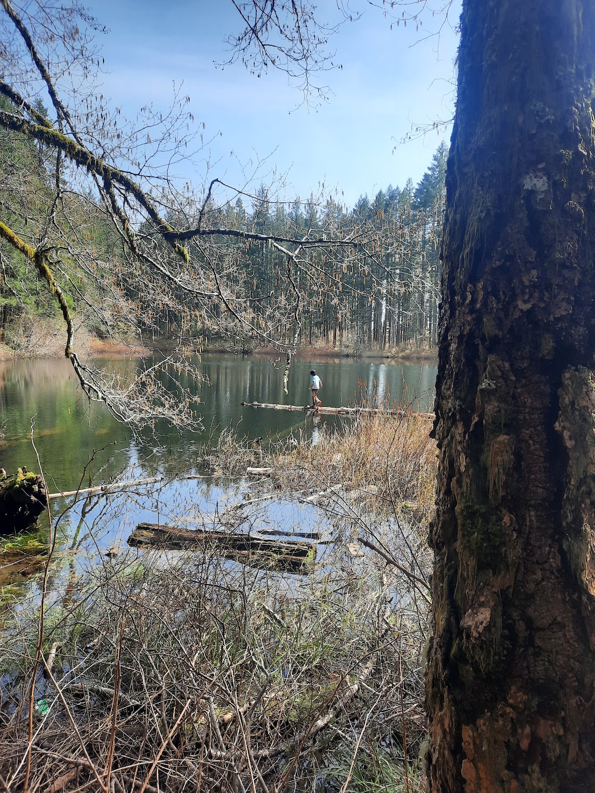 South Lake Campground