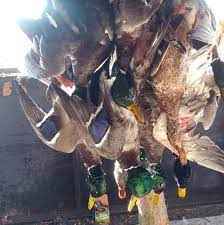 LaCotts Hunting Lodge