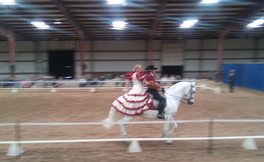 Hill Country Youth Exhibition Center