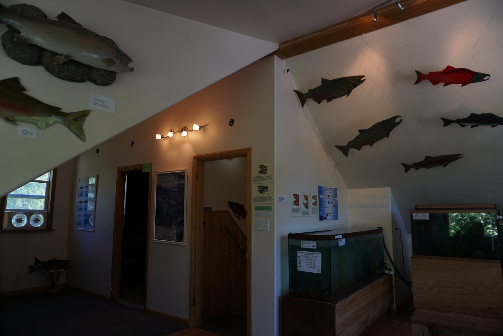 Susitna Salmon Center