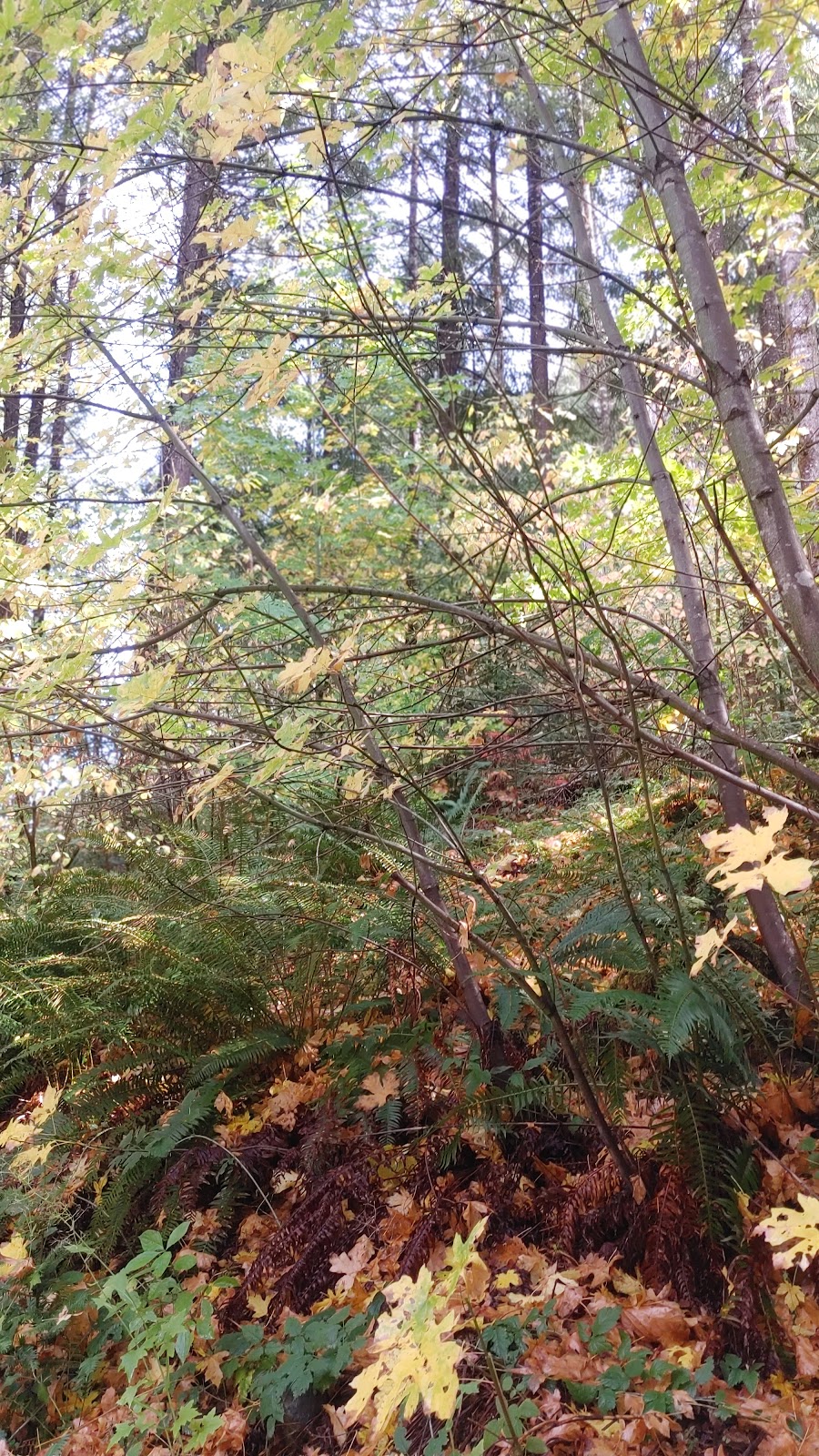 Boulder Flat Campground