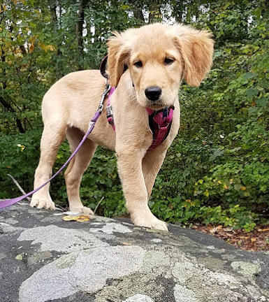Boulder Woods Campground