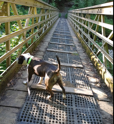Margaret McKenny Campground