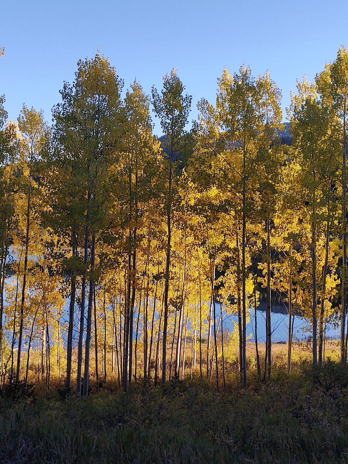 Chapman Resevoir Campground