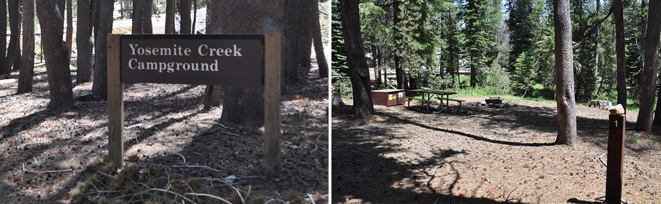 Yosemite Creek Campground