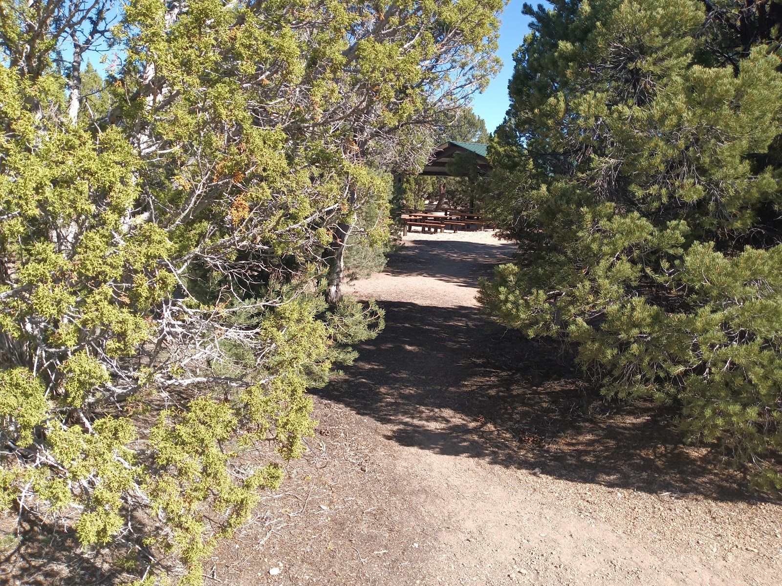 Ward Mountain Campground