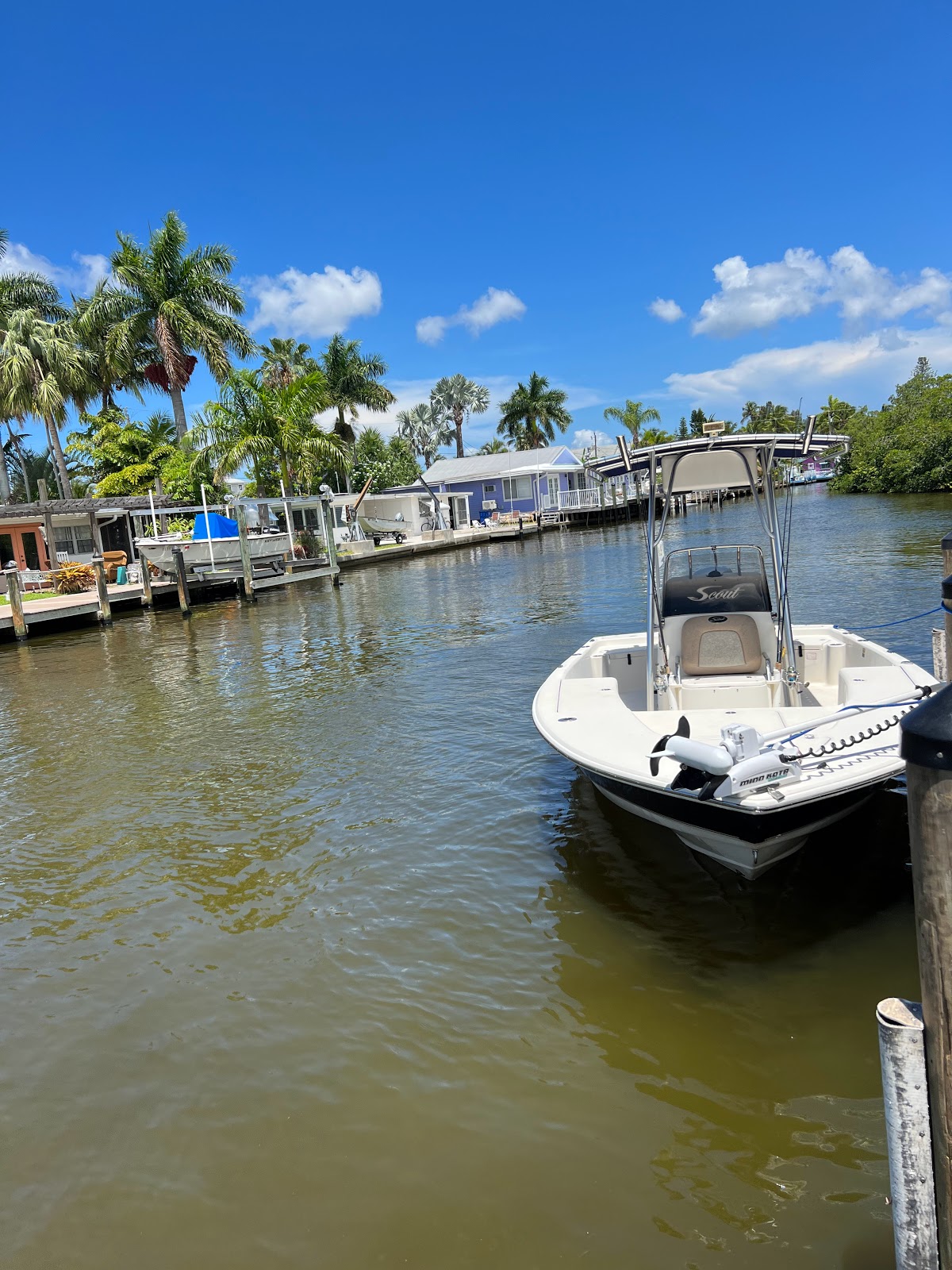 Little Pines Trailer Park