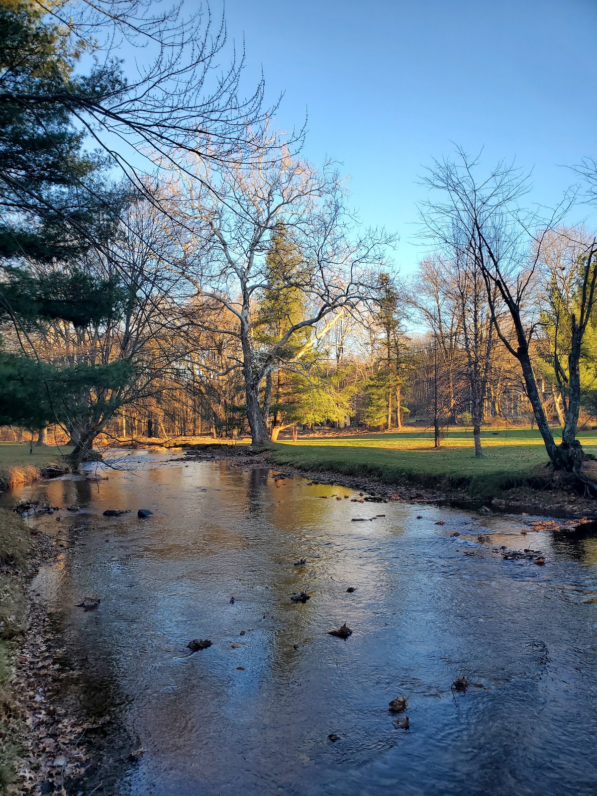 Mountain Creek Camp Ground