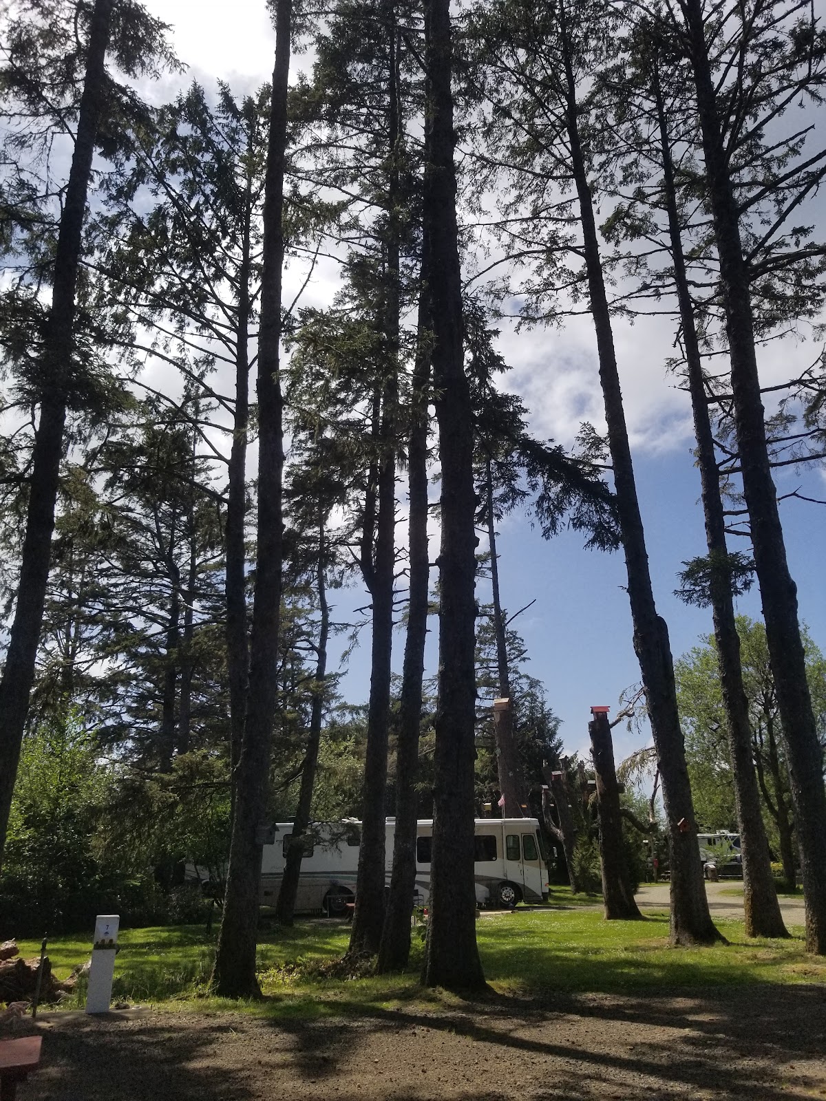 Driftwood Acres Ocean Campground