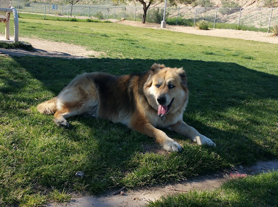 Avondale Friendship Park