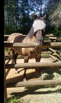Margaret McKenny Campground