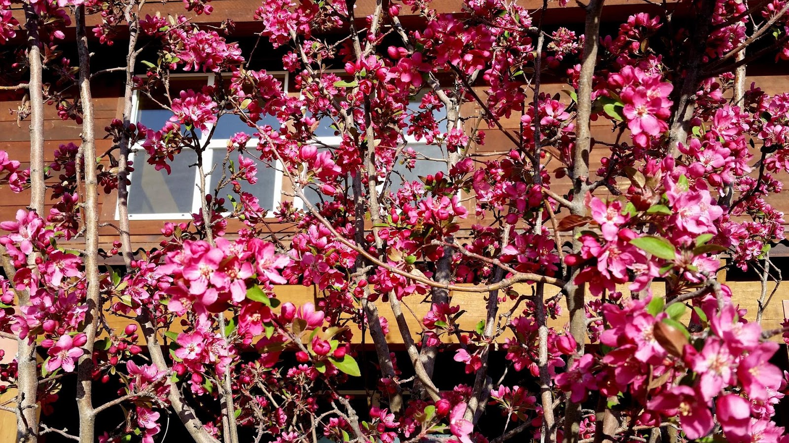 Glenwood Springs West/Colorado River KOA Holiday