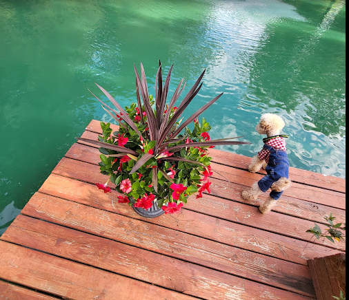 Indian Mound Campground