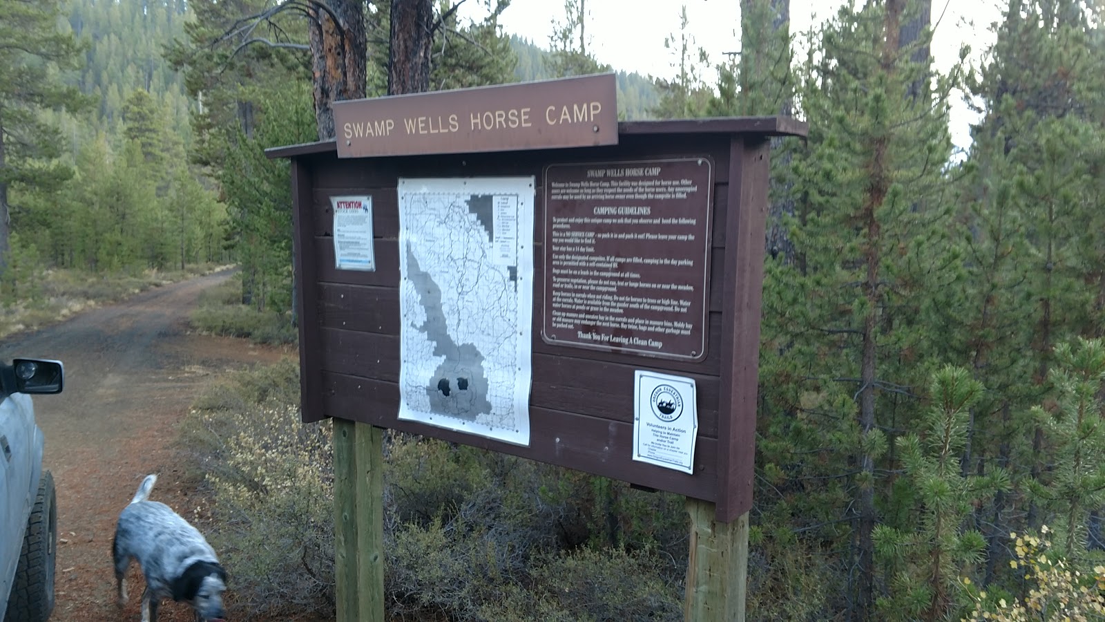 Swamp Wells Horse Camp