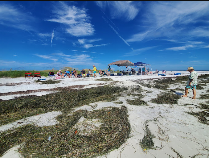 Anclote Key Preserve State Park