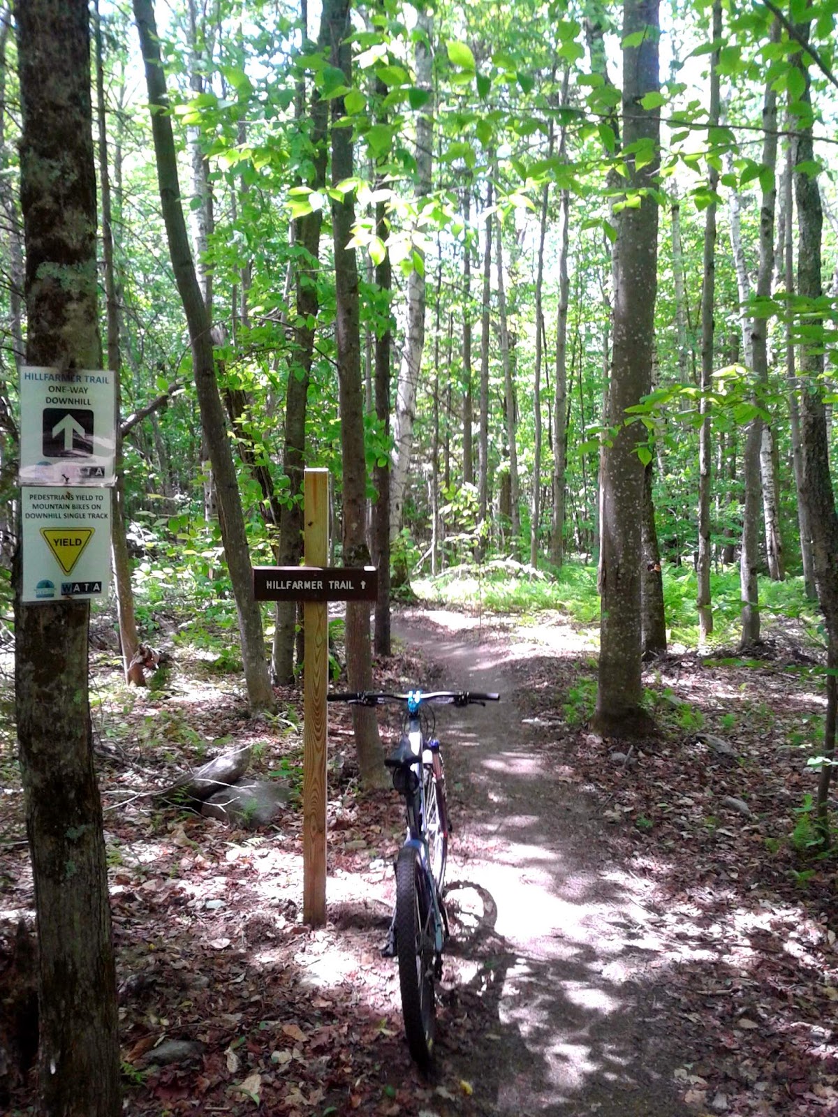 Little River State Park