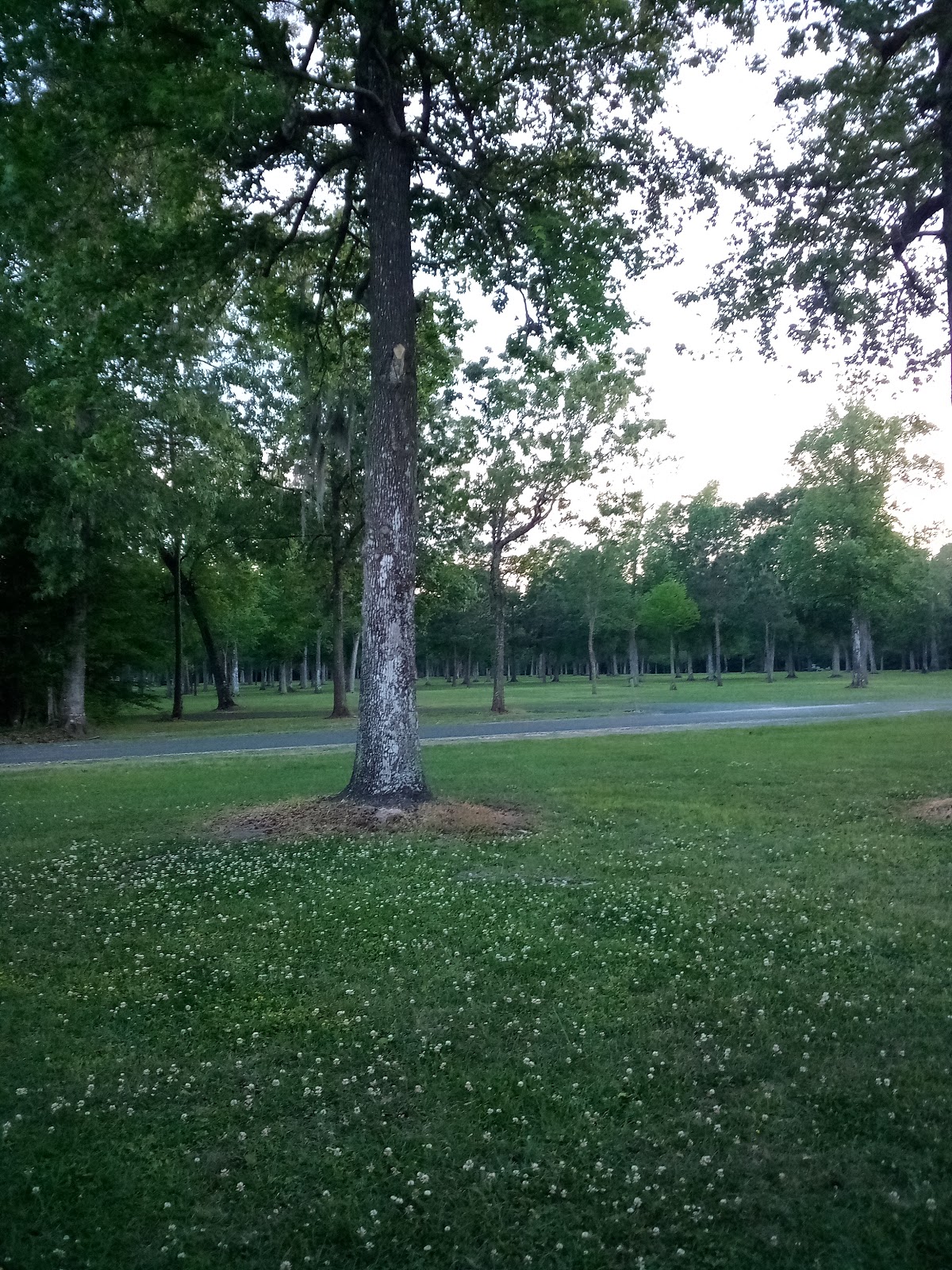 White Memorial County Park