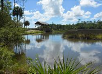 Princess Place Preserve