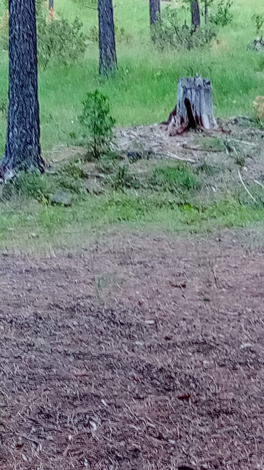 Northwind Campground