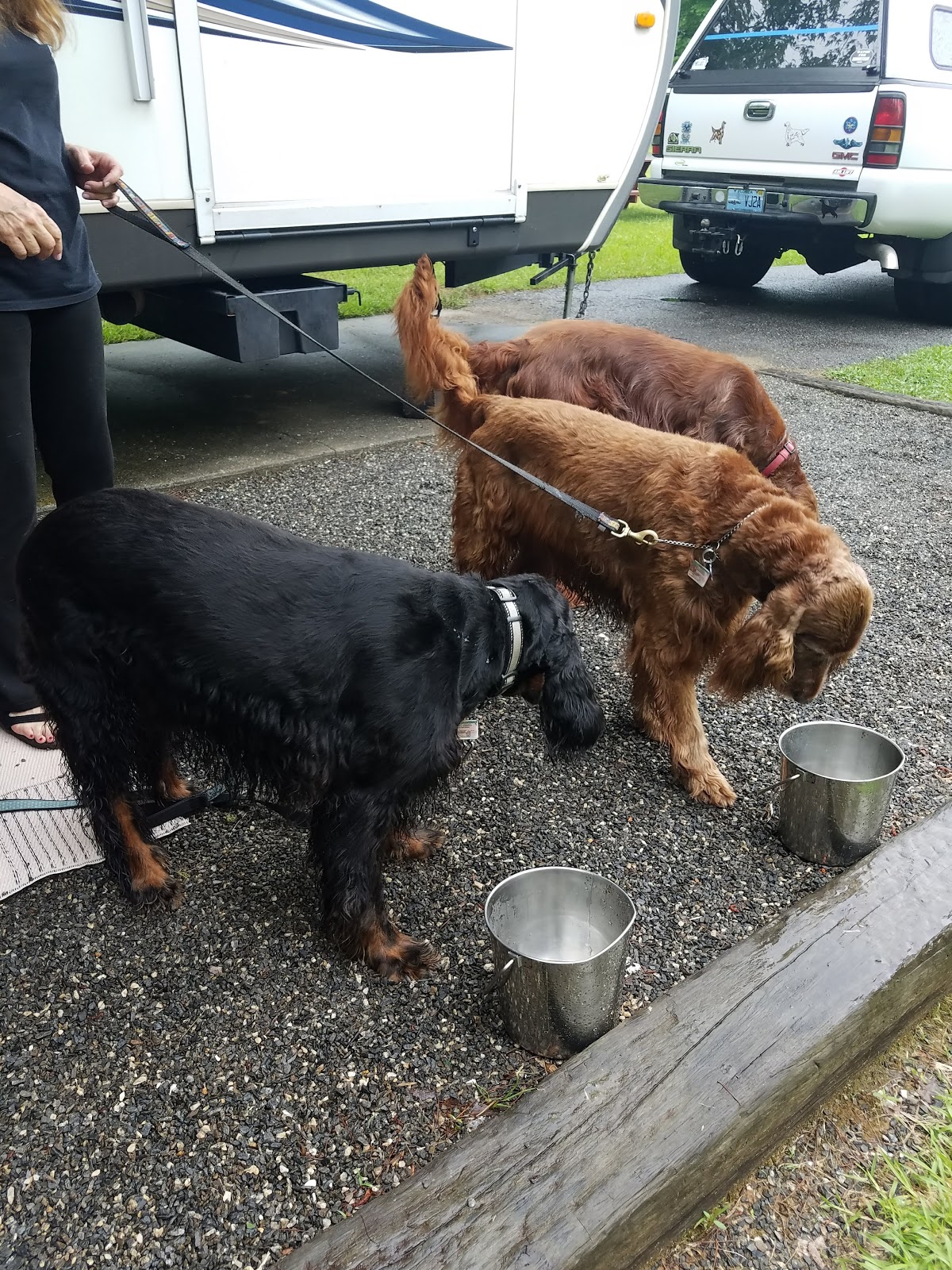 Sugar Mill Creek RV Resort