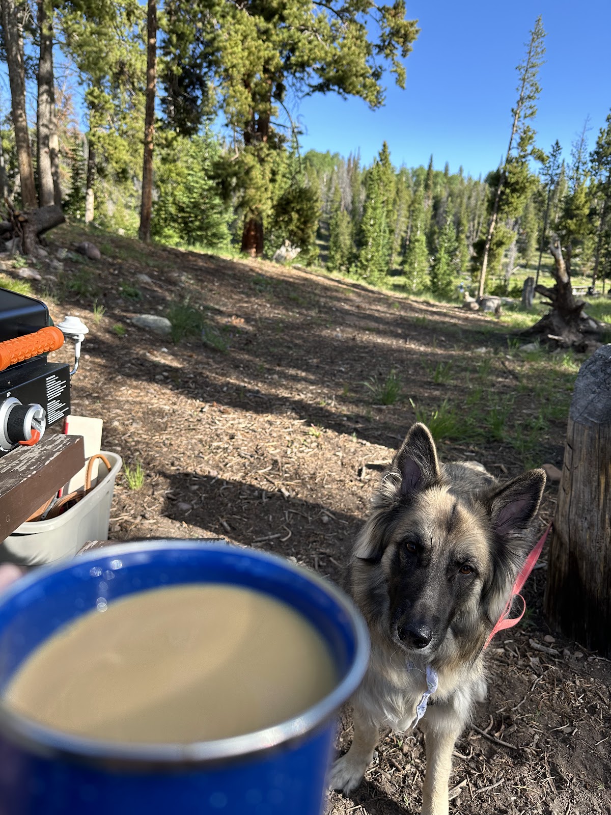 Little Lyman Lake Campground