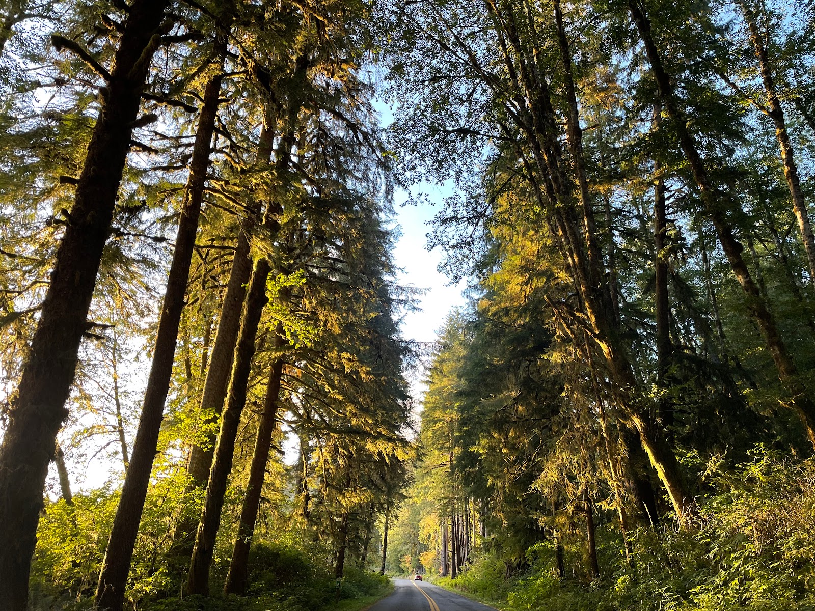 Minnie Peterson Campground