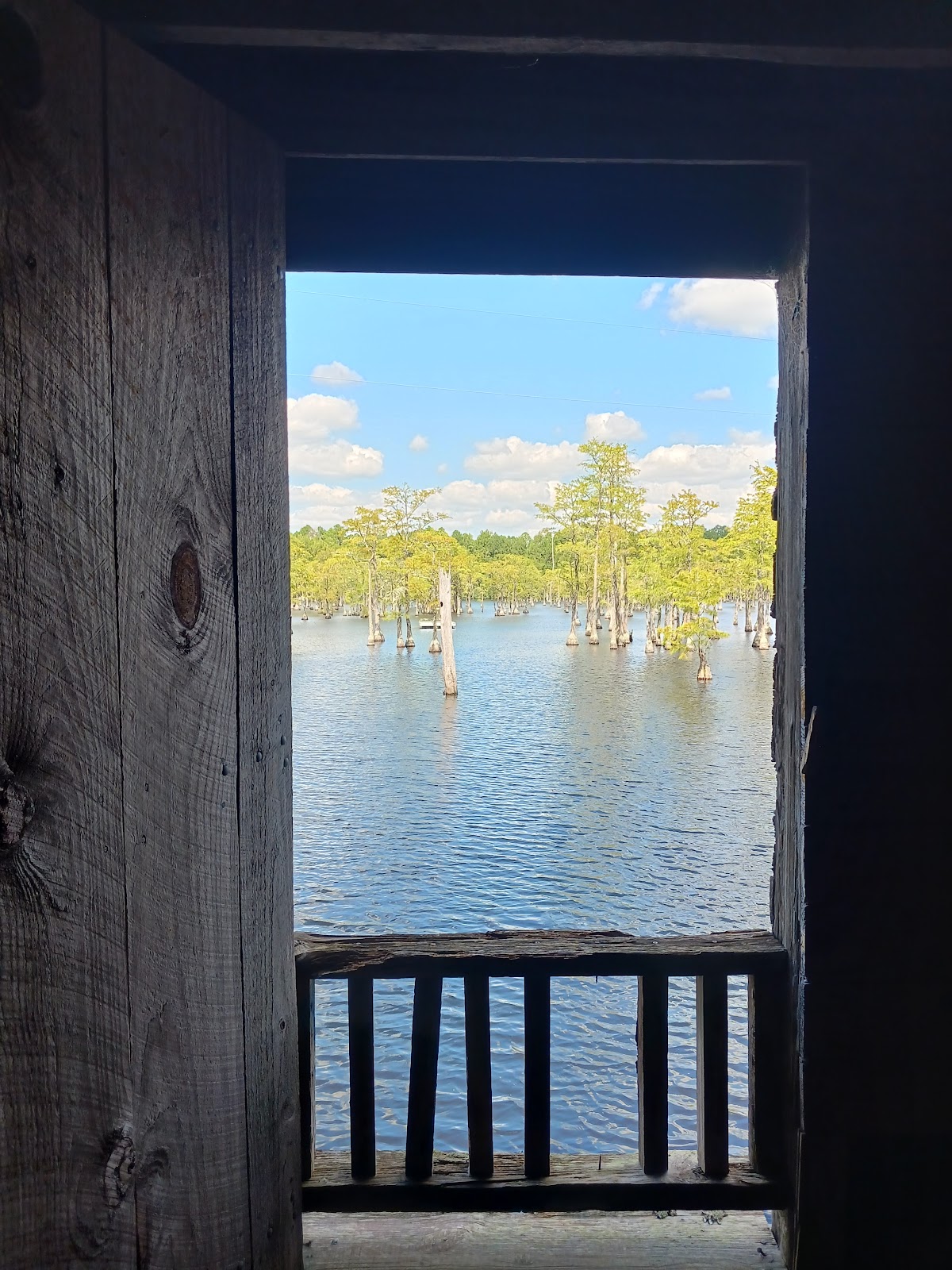 George L Smith State Park