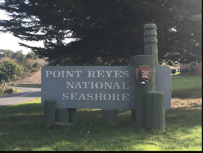 Point Reyes National Seashore Campground